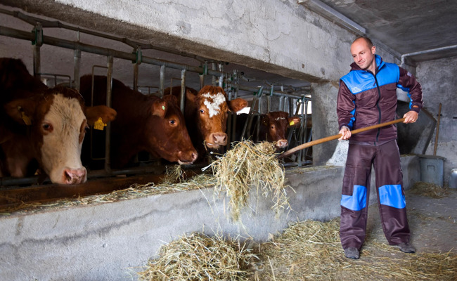 Warum die armeefreundlichen Bauern beim Zivildienst ausscheren
