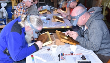 Mitstreiter für resistente Bienen gesucht