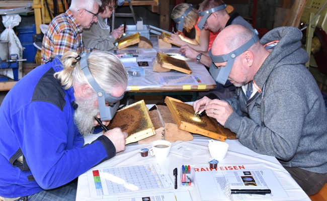 Mitstreiter für resistente Bienen gesucht