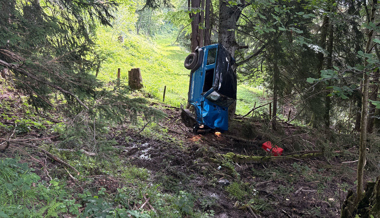 Auf Alpstrasse tödlich verunglückt
