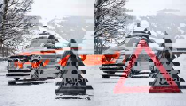 Hirschkuh angefahren: Lenker oder Lenkerin des Fahrzeugs hat Unfallstelle verlassen