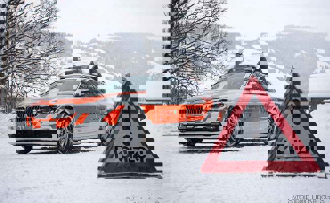 Hirschkuh angefahren: Lenker oder Lenkerin des Fahrzeugs hat Unfallstelle verlassen