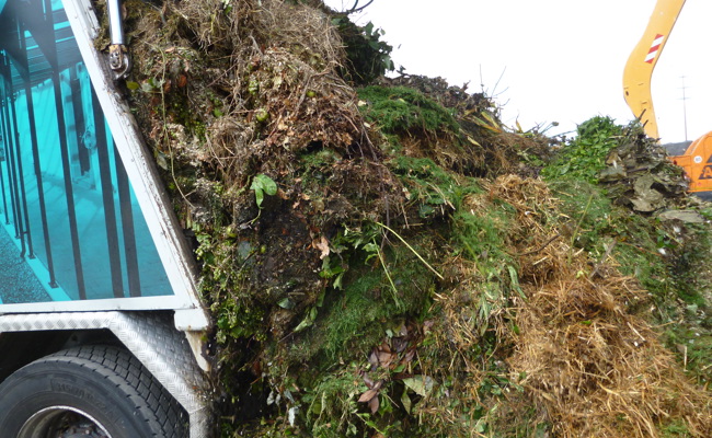 «Verbesserungen sind markant und erfreulich»: Weniger Plastik im Grüngut