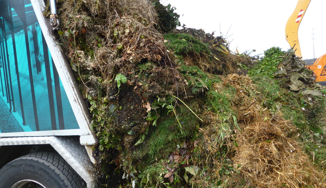 Wenig Fremdstoffe in Grüngut: Das Bild zeigt eine Anlieferung vor wenigen Tagen.