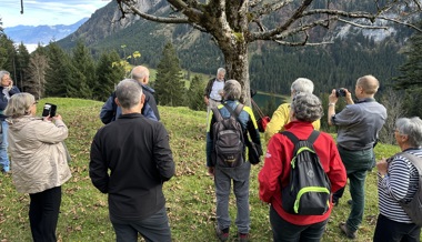 Namenskundlicher Spaziergang über dem Nebelmeer