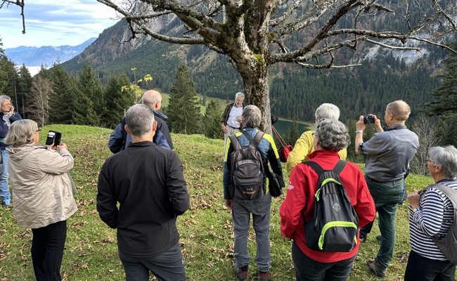 Namenskundlicher Spaziergang über dem Nebelmeer