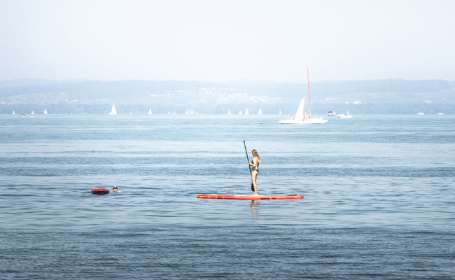 Gefahrenstufe drei für das Rheintal – Hitzewelle bedroht Fischbestände im Bodensee