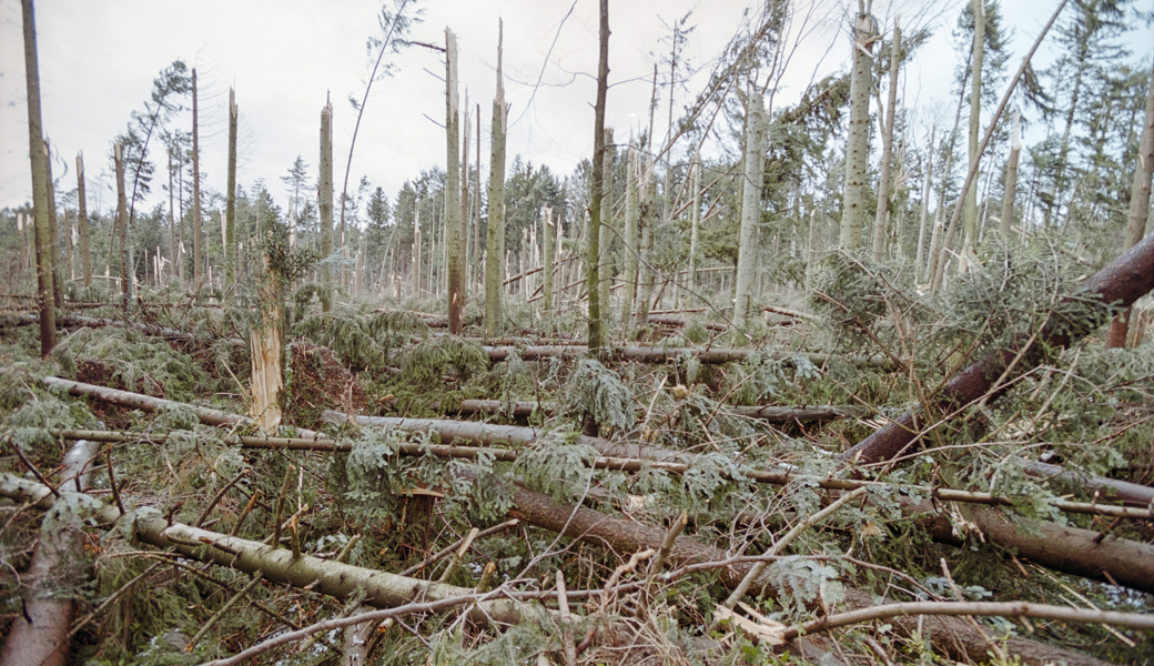 Der Sturm Lothar richtete enormen Schaden an.