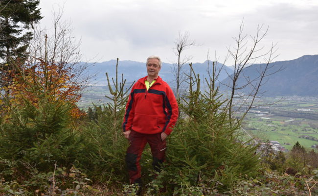 Josef Lenherr hat in seinen 40 Arbeitsjahren bereits gut 80'000 Bäume gepflanzt