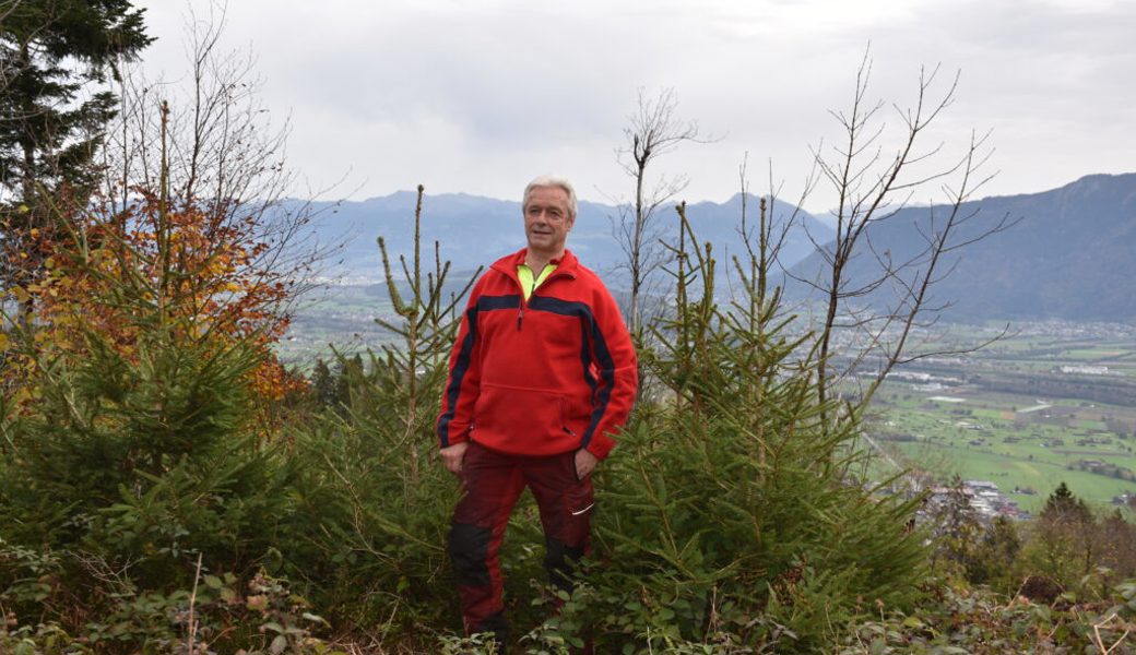  Josef Lenherr steht an einem seiner Lieblingsplätze: dem Tätschamoos in Gams. Vor fünf Jahren sind hier viele Bäume dem Sturm Burglind zum Opfer gefallen. Mittlerweile wachsen hier etliche standortgerechte Bäume nach. 