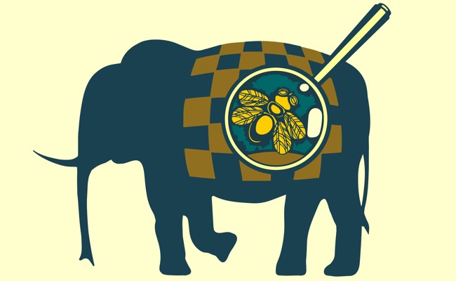 Täter sieht nur Mücke statt Elefanten