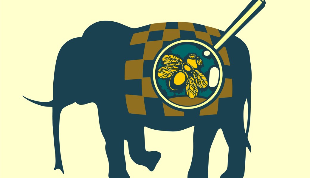 Obschon seine Taten unbestritten sind, beantragte der Beschuldigte einen Freispruch. Er meinte, aus einer Mücke werde ein Elefant gemacht.  