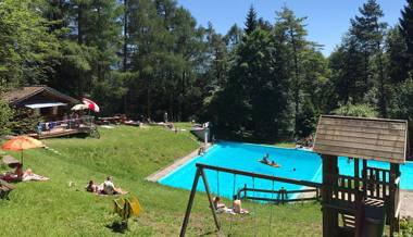 Ein Stück Kulturgut retten: Das Waldschwimmbad muss dringend saniert werden
