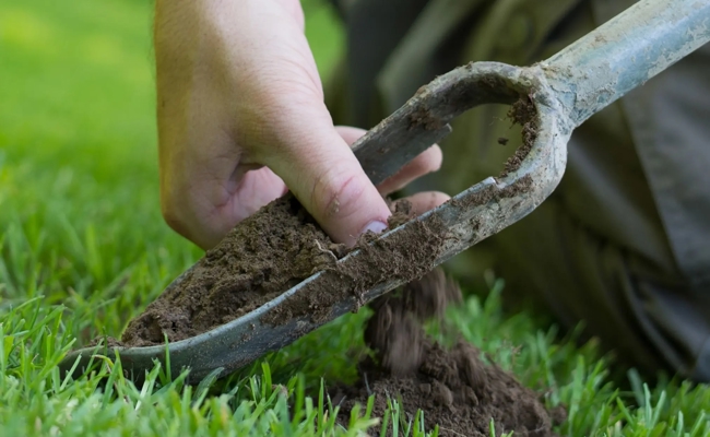 Zu PFAS ist vieles noch offen – ein erster Bauer gibt trotzdem auf