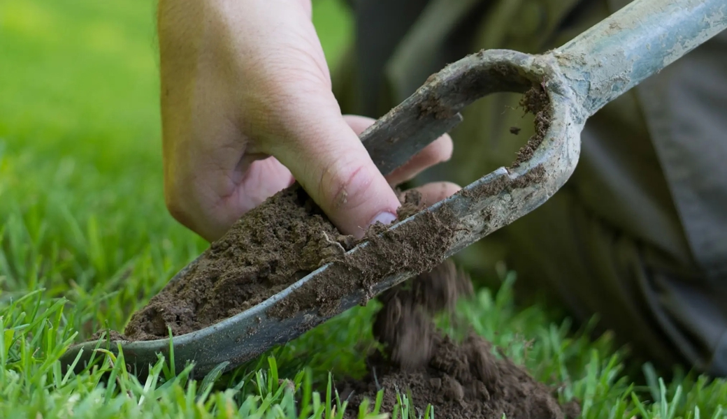 Der Kanton St.Gallen stellte bei Bodenproben eine erhöhte PFAS-Belastung auf landwirtschaftlichen Flächen fest. 