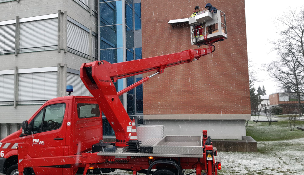 Beim Schulhaus Hanfland wurden in grosser Höhe neue Nisthilfen montiert. 