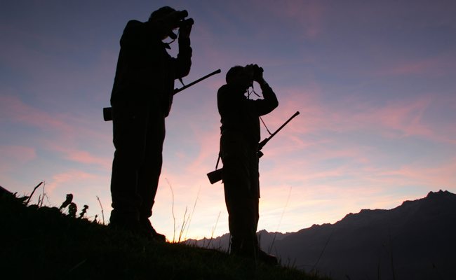 Wildfotofalle bringt einen frechen Wildfrevel ans Licht