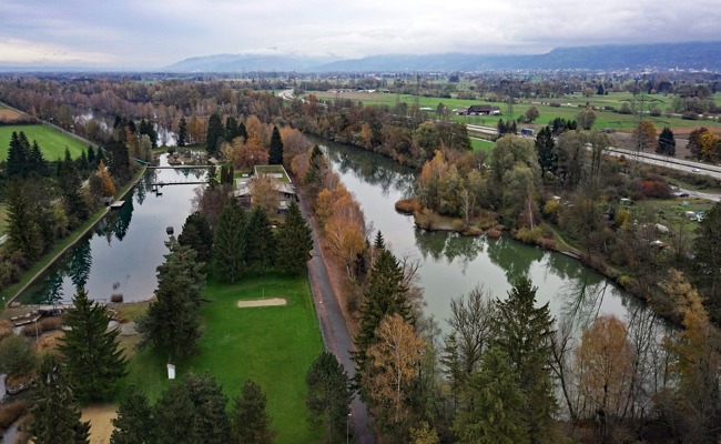 Kann das Eschensterben gestoppt werden? Neun von zehn Bäumen betroffen