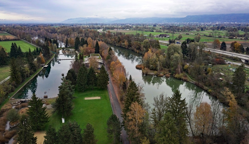 Kann das Eschensterben gestoppt werden? Neun von zehn Bäumen betroffen
