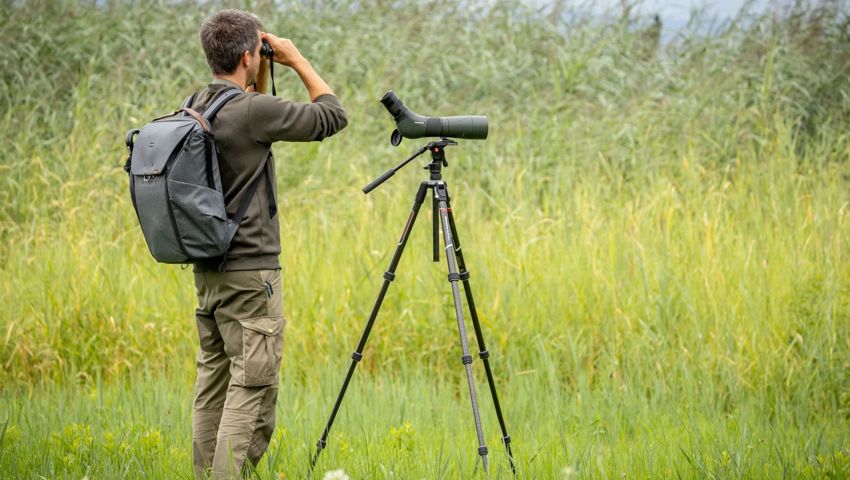 Tom Bischof beobachtet bei Staad den Schilfgürtel am Bodensee.