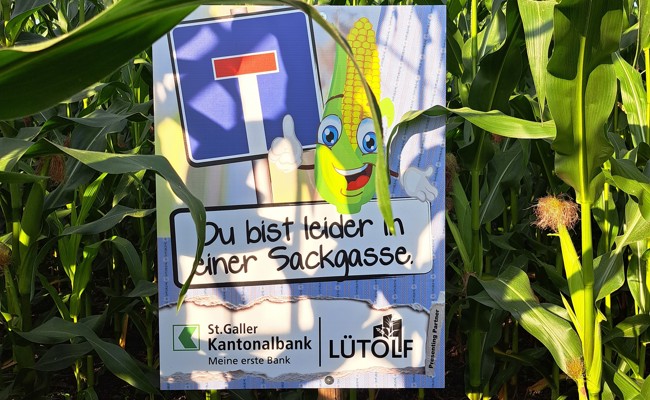 «Schwierigste Saison»: RhyLa zieht verhaltene Bilanz