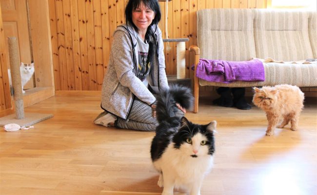 Ein langer Weg bis ins Toggenburg: Mit sechs Katzen aus Kiew geflohen