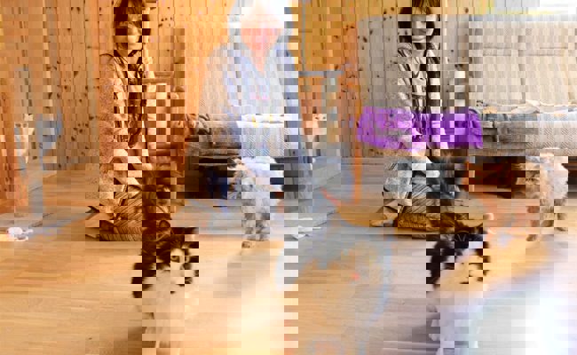 Ein langer Weg bis ins Toggenburg: Mit sechs Katzen aus Kiew geflohen