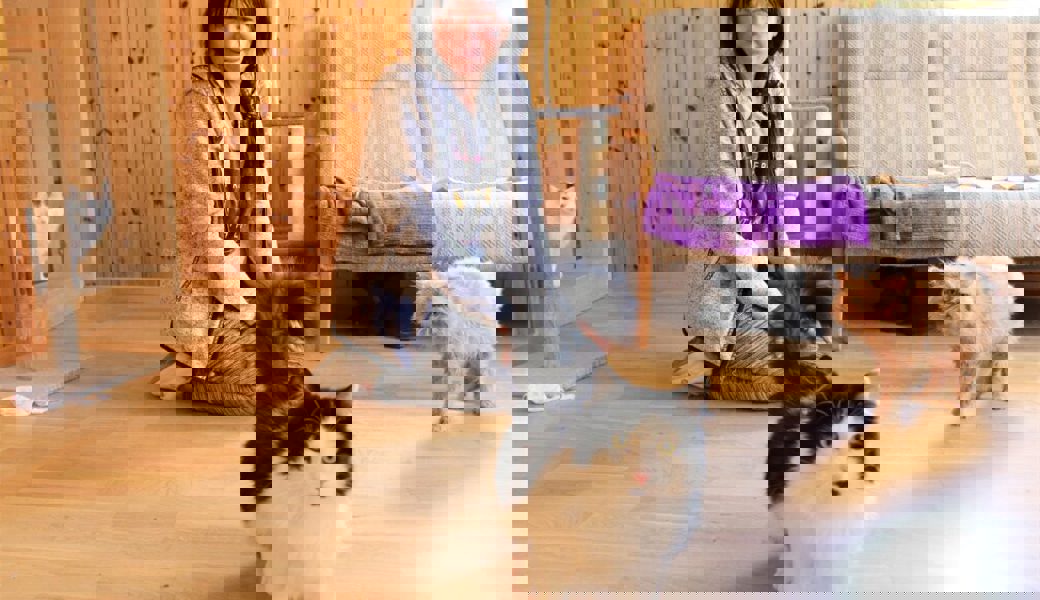  Tanja Voevodina mit ihren Katzen Lunya, Lolik und Persik (von links) in ihrer Wohnung in Unterwasser. 