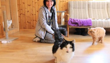 Ein langer Weg bis ins Toggenburg: Mit sechs Katzen aus Kiew geflohen