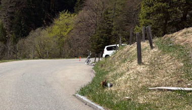 Mit Mofa verunfallt und ins Spital geflogen