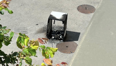 Brennenden Kühlschrank übers Balkonsims geworfen