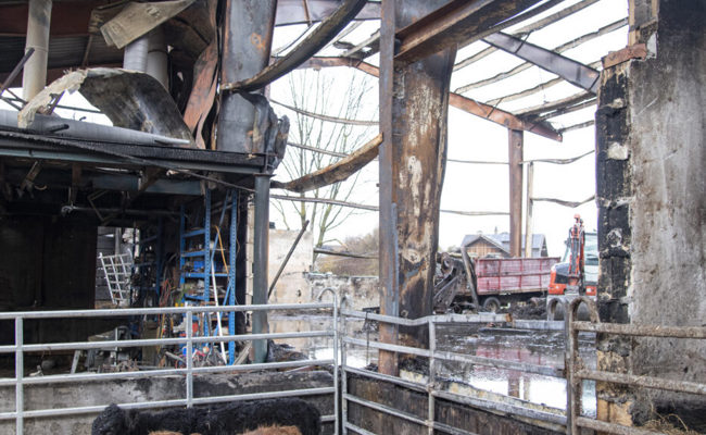 Zehn Tage nach dem Stallbrand: «Wenn nichts mehr so ist, wie es war»