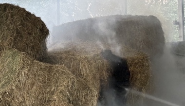 Heu fing selbst Feuer: Brand rasch unter Kontrolle gebracht