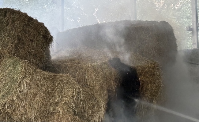 Heu fing selbst Feuer: Brand rasch unter Kontrolle gebracht