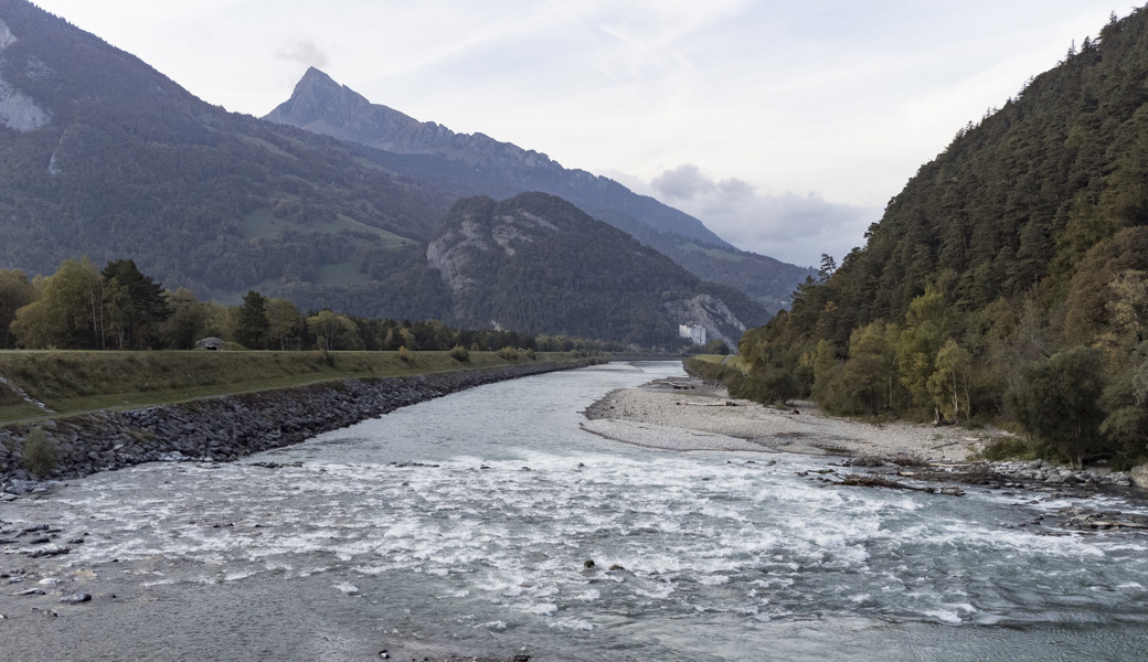Am Ellhorn ist heute kein Kraftwerkbau möglich, weil die Vegetation auf dem Rheindamm unter Schutz steht.
