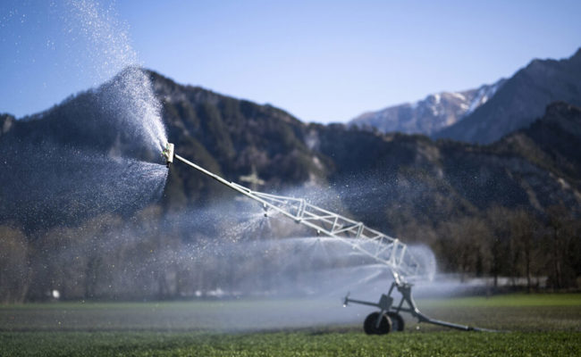 «Für uns ist das nichts Weltbewegendes»: Der Trockenheit wird getrotzt