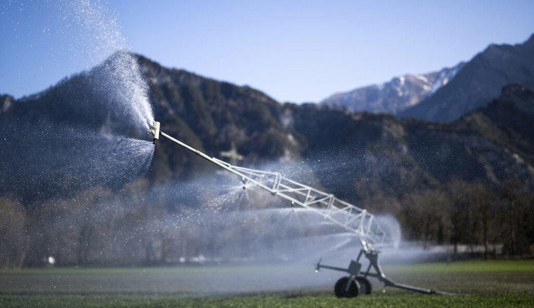  In Betrieben des Gemüsebaus musste im März häufiger als sonst zu dieser Jahreszeit bewässert werden. 