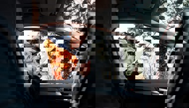 Pannenhilfe trifft Autofahrer schlafend und fahrunfähig an