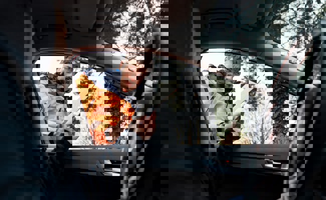 Pannenhilfe trifft Autofahrer schlafend und fahrunfähig an