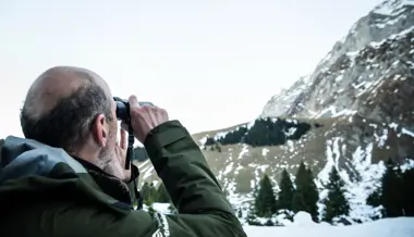 Burn-out im Schutzgebiet: Der Alpstein-Tourismus erschwert den Wildtieren das Überwintern