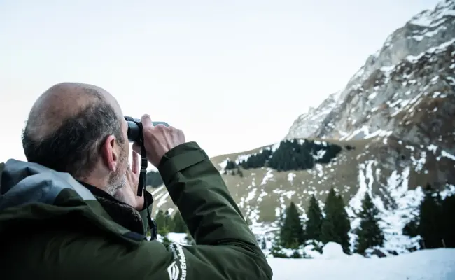 Burn-out im Schutzgebiet: Der Alpstein-Tourismus erschwert den Wildtieren das Überwintern