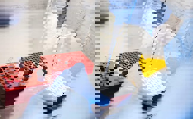 Kanton St.Gallen stoppt Corona-Ausbruchstestungen an Schulen und repetitive Tests in Firmen