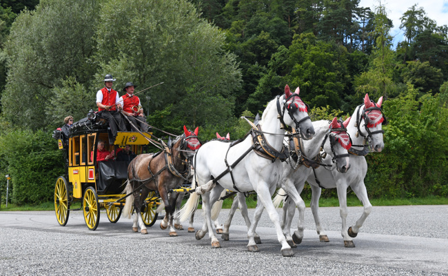 Genuss statt Geschwindigkeit: Reisen per Pferdegespann wie vor über 100 Jahren