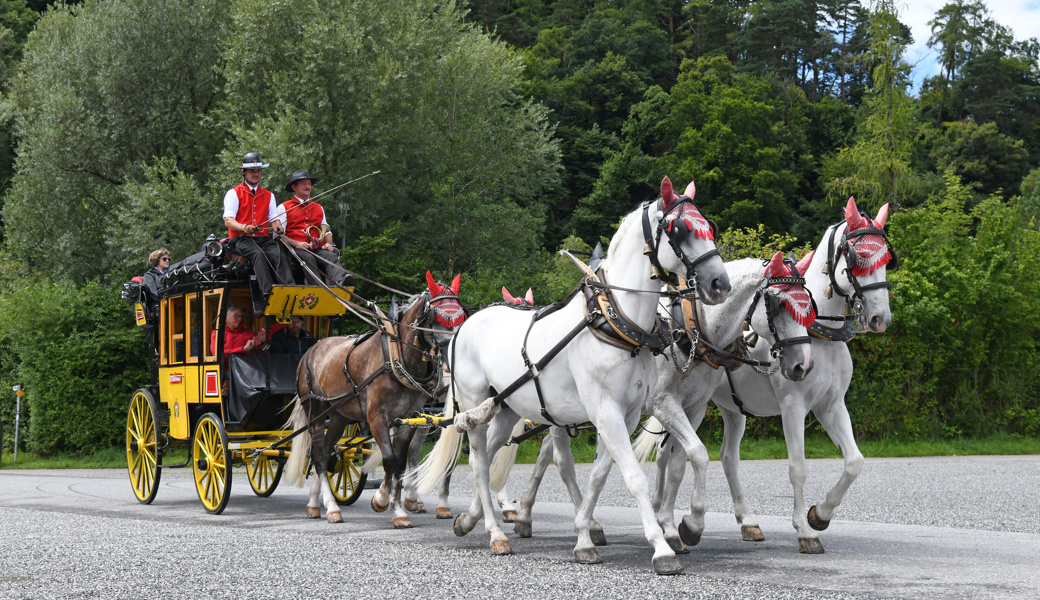 Genuss statt Geschwindigkeit: Reisen per Pferdegespann wie vor über 100 Jahren