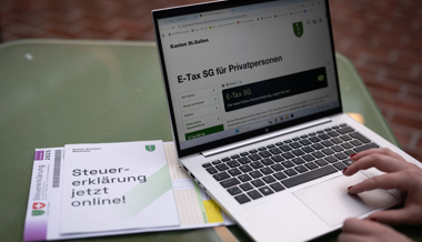 Browser statt Download: Neue Steuererklärung stösst auf Kritik