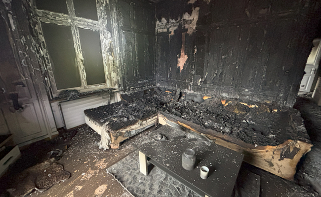 Brand in Wohnung tötet drei Tiere