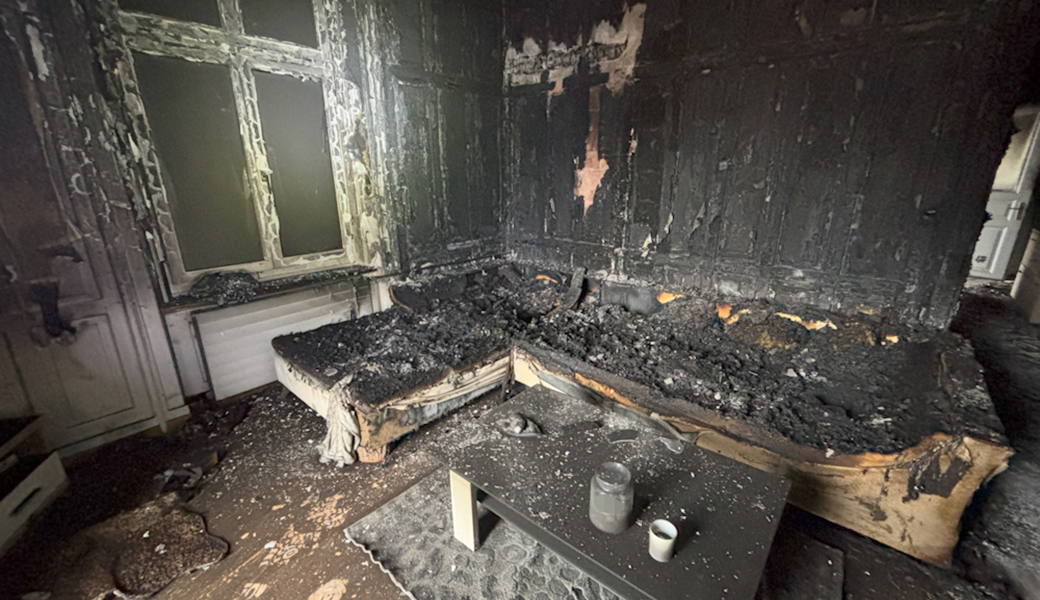 Brand in Wohnung tötet drei Tiere
