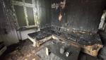 Brand in Wohnung tötet drei Tiere