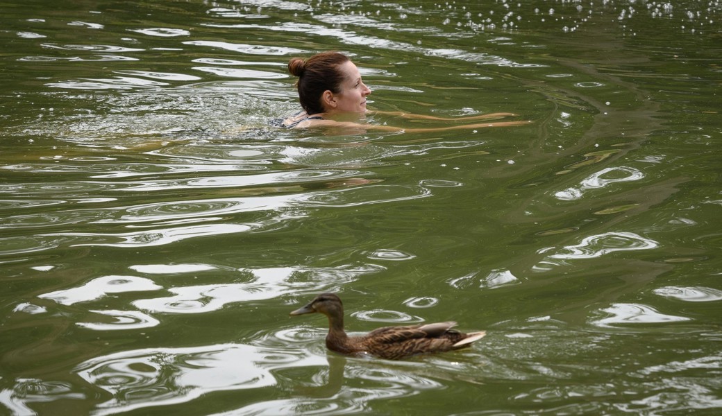 Eigentlich hat es der Entenfloh auf die Ente als Wirt abgesehen. Doch auch die menschliche Haut ist für die Larven interessant.