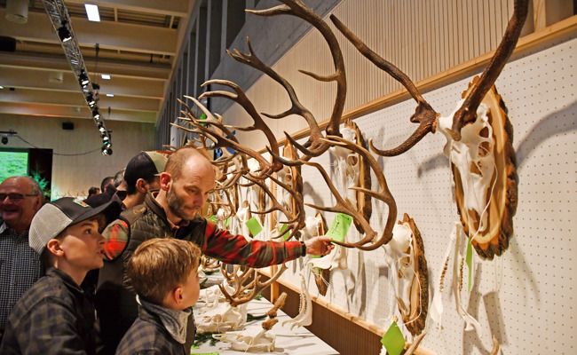 Abschussziele bei Rothirschjagd wie erhofft erreicht